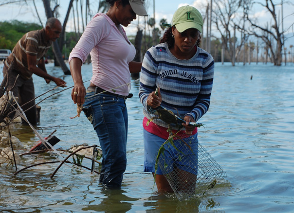 dominicans catching crabs in crocodile Lake Enriquillo